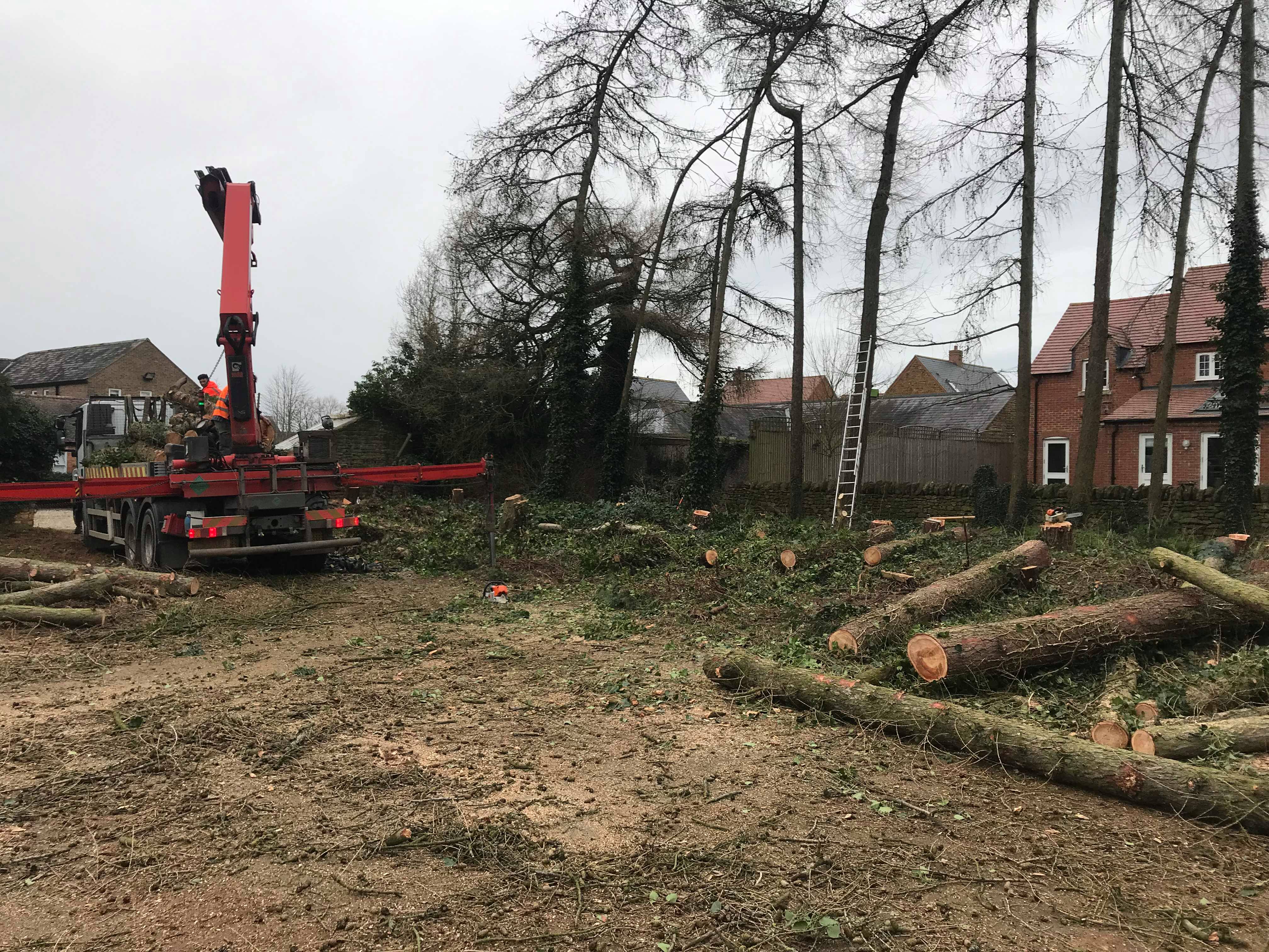 Shire Forestry Tree Work