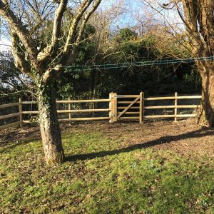 Shire_Forestry_Fencing (6)