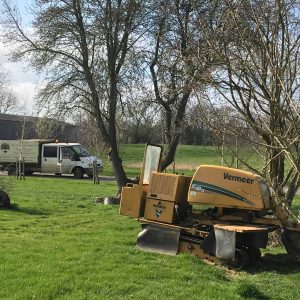 Shire Forestry Fencing Stump Grinding